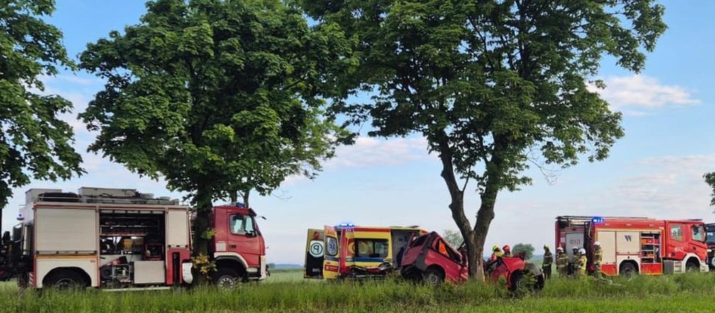 Śmiertelny wypadek pod Bolesławcem. Nie żyje 52-letni kierowca busa