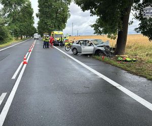 Czarny alert na Śląsku. Mazda roztrzaskała się na drzewie. Nie żyje kierowca