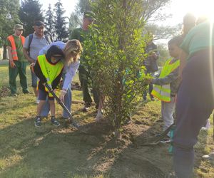 Zielony Zakątek. Kolejny eco-projekt na elbląskim Zawodziu 