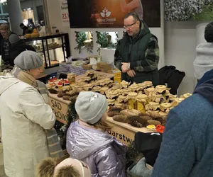 Przedświąteczny Frymark w centrum Bydgoszczy! [ZDJĘCIA, WIDEO]