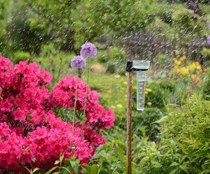 Wykorzystanie deszczówki w ogrodzie