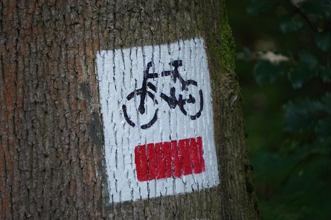 Najpiękniejsza dolina blisko Krakowa. To miejsce idealne na wakacyjną wycieczkę w ciszy i spokoju