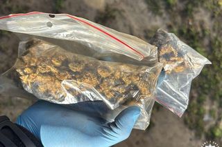 Kolejne kilogramy narkotyków przejęte przez policję w gminie Brody