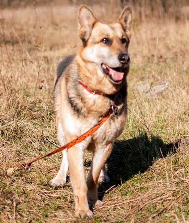 Gerda znów straciła dom