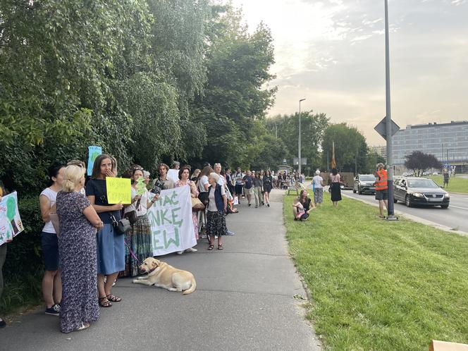 Protest mieszkańców przeciwko wycince drzew pod budowę linii tramwajowej do Mistrzejowic.