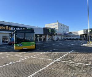 Katarzynki 2023. Prezentacja autobusów w Poznaniu. Zabytkowe autobusy w Poznaniu