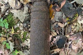 Wybrał się na grzyby do lasu pod Oleckiem. Takiego znaleziska się nie spodziewał [ZDJĘCIA]