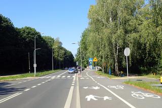 Rybnik. GROZA na drodze! Samochód potrącił matkę z 9-letnim synem! 