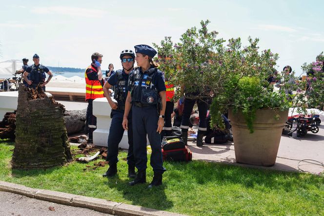 Dramat na festiwalu w Cannes! Producent uderzony przez palmę trafił do szpitala 