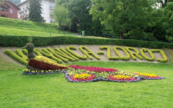 Najlepsze uzdrowiska w Małopolsce według AI. Warto je odwiedzić nie tylko w wakacje!
