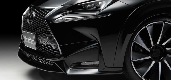 Lexus NX by Wald International