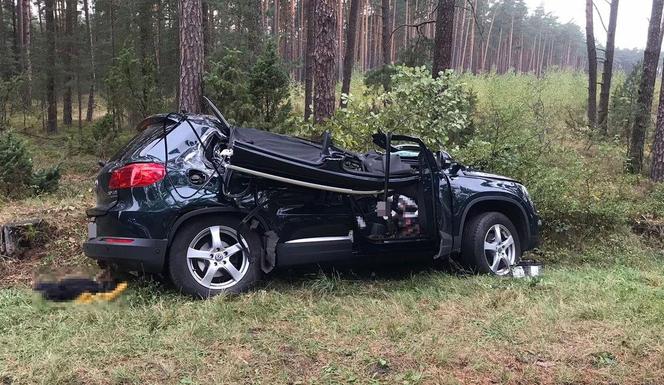 Drzewo spadło na volkswagena. Turysta z Krakowa utknął w aucie