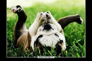 Majówka 2023 zbliża się wielkimi krokami! Zobacz najlepsze memy!