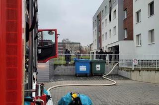 Pożar na lubelskim Felinie. Mieszkanie spłonęło doszczętnie