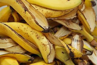 Nawóz z bananów - jak wykorzystać skórki bananów do nawożenia roślin