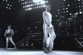 Freddie Mercury - 5 najlepszych występów na żywo. Artysta był królem sceny!
