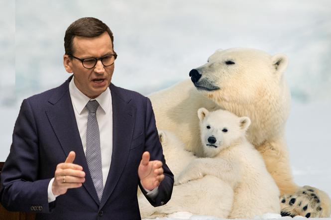  Morawiecki powołał zespół ds. polityki polarnej