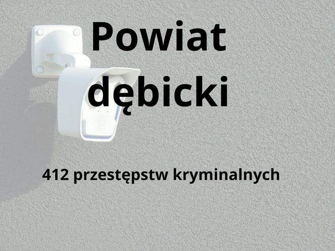 To tu na Podkarpaciu dochodzi do największej liczby przestępstw kryminalnych