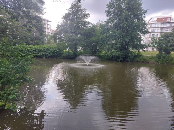 Park im. Szafera w Rzeszowie 