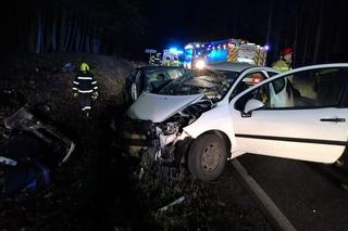 Tragiczny wypadek w miejscowości Zarośle pod Grudziądzem. Zdjęcia z miejsca zdarzenia