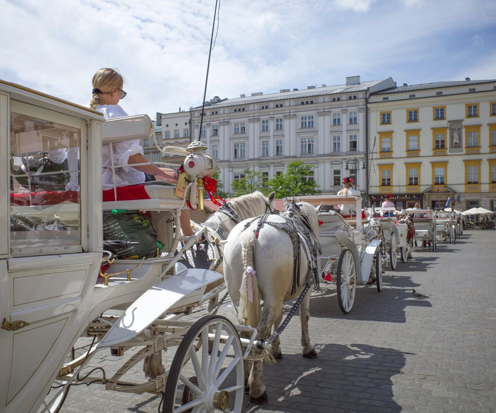 Trwa batalia o dorożki na Rynku Głównym w Krakowie. Zastąpią je pojazdy elektryczne?  