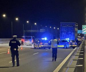 Byki brykają na moście w Warszawie! Wypadły z ciężarówki.