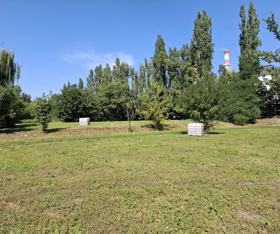 Atrakcyjna cenowo nieruchomość pod budowę domu jednorodzinnego? To wciąż możliwe!