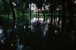 Krajobraz po burzach i ulewach na Śląsku i w Zagłębiu. Zalało ulice Czeladzi, Bytomia, Rudy Śląskiej [ZDJĘCIA,WIDEO]