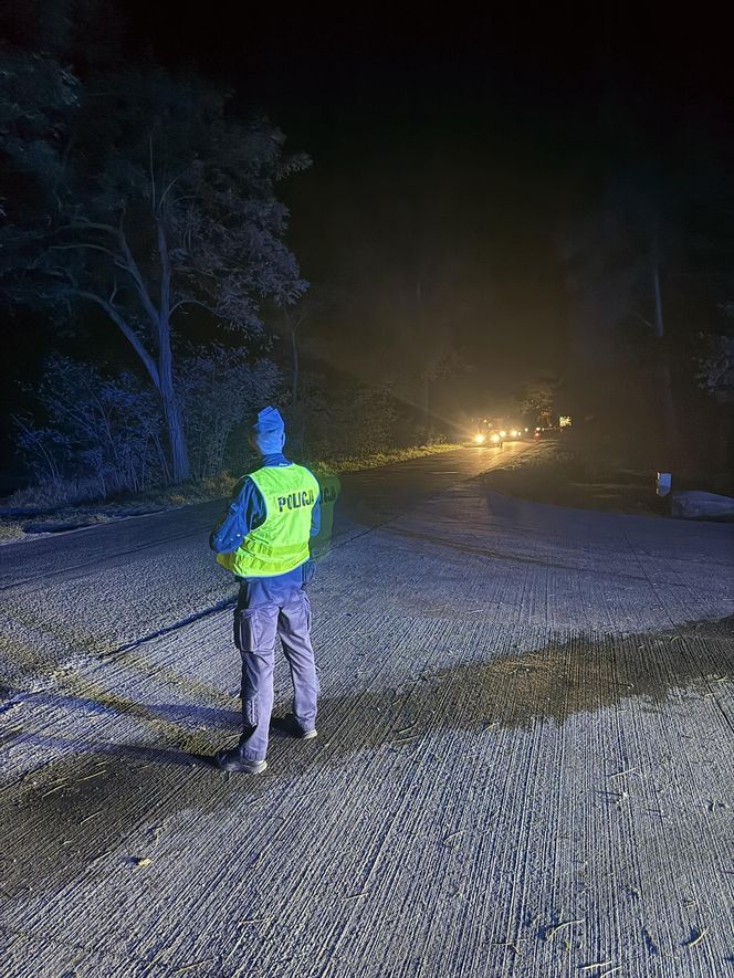 Ogromny pożar fermy drobiu w Fałkowicach. W ogniu mogło zginąć nawet 130 tysięcy kur