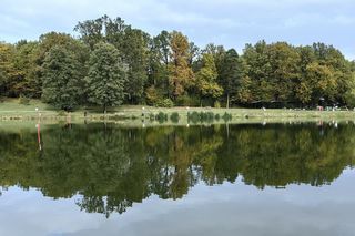 To największy las miejski w Europie. Znajduje się w Łodzi 
