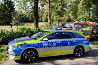 Młody kierowca wjechał w drzewo. 29-latek jechał bez pasów i prawa jazdy