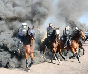 Agresywni pseudokibice, huk i dym. Policyjne konie zdawały w Łodzi egzamin [ZDJĘCIA]