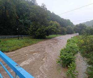 Ewakuacja części mieszkańców Jarnołtówka. Złoty Potok może wylać