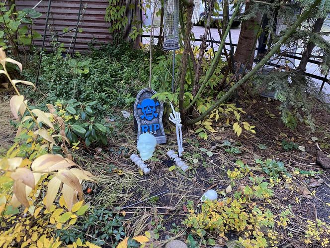 Najstraszniejsze łódzkie podwórko Wólczańska 7