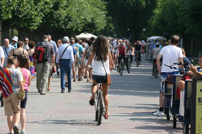 TO SĄ NOGI PANI PREZES !