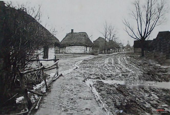 Wieś w woj. lubelskim