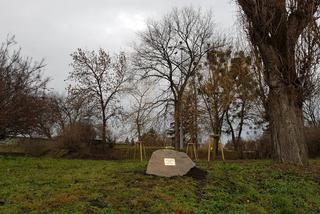 PGE Toruń wspiera zieleń i zagrożone gatunki zwierząt!