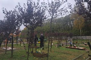 Rekordowa akcja Światełko Pamięci. Uczniowie z Łodzi porządkowali opuszczone groby