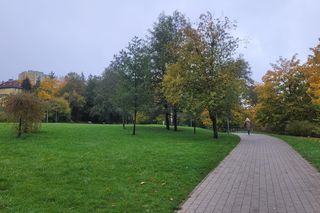 To najlepszy park w Olsztynie na jesienny spacer. Wyboru dokonała sztuczna inteligencja