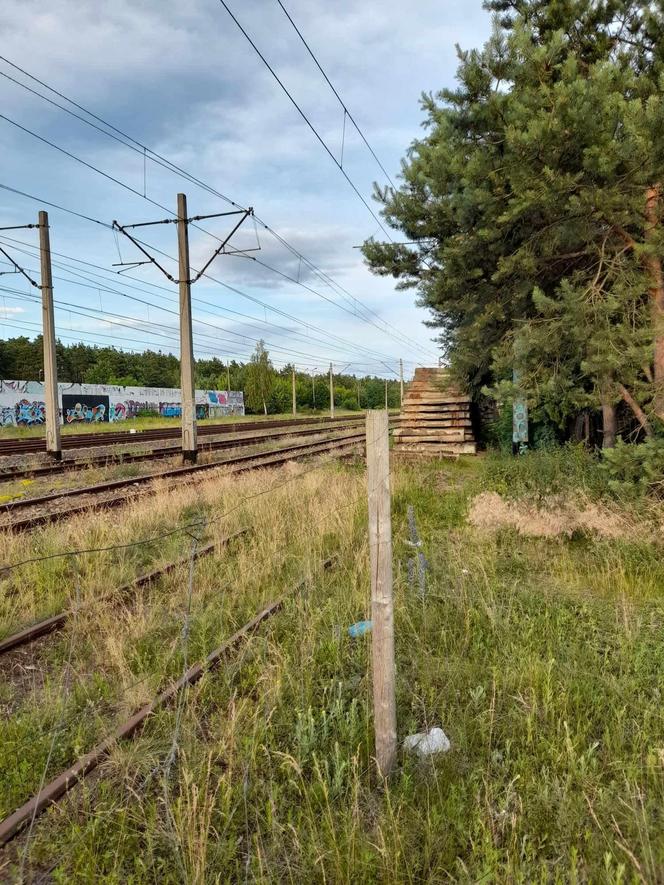 Dzieci bawią się na stercie podkładów kolejowych, sięgają prawie linii energetycznej. Po naszej interwencji jest reakcja PKP PLK