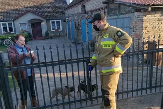 Maseczki ochronne rozdawali strażacy ochotnicy z OSP Bogdaniec i OSP Lubczyno.