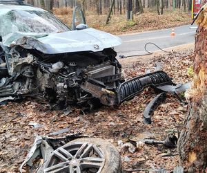Skoda z dwiema osobami w środku uderzyła w drzewo. 4-letnie dziecko trafiło do szpitala