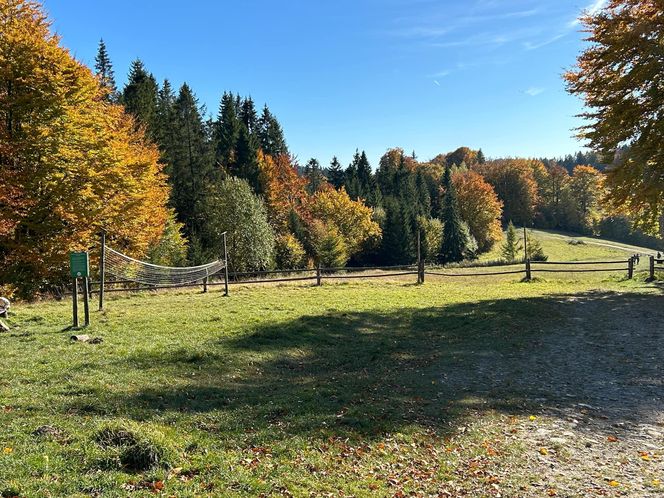 Małopolskie pasmo górskie zachwyca jesiennym pięknem. Ukryta perełka z widokiem na tatry 