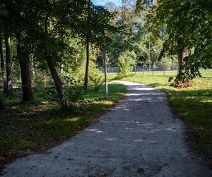 Zabytkowy park pod Lubawą zmienił się nie do poznania. Teraz wygląda jak z bajki
