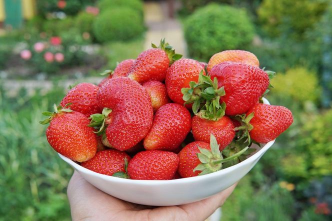 Jak myć truskawki bez chemii? Naturalny sposób na czyste i bezpieczne owoce