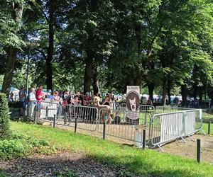Dożynki Miejskie i Święto Chleba Poznań 2023