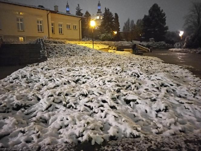 Pierwsze opady śniegu. Zobacz jak wyglądają Kielce w zimowej szacie