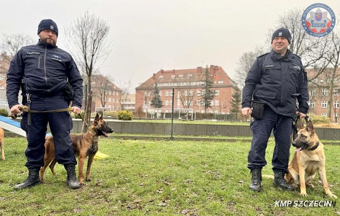 Nowe psy w zachodniopomorskiej policji