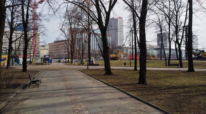 Wycinają drzewa obok Pałacu Kultury i Nauki