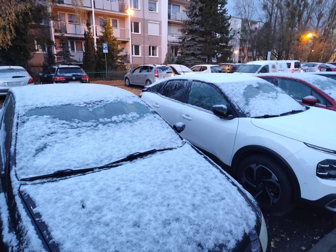 Pierwszy śnieg spadł w Poznaniu i okolicach